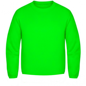 Sweat Shirt